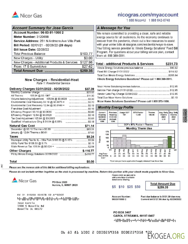 Usa Nicor gas utility bill word and pdf template